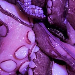 Meet your Posher, Valentinova